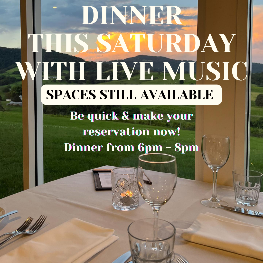 Dinner with live music